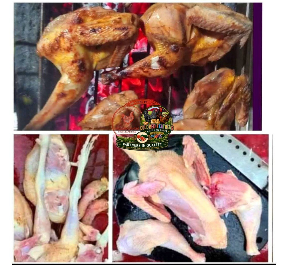 Meat